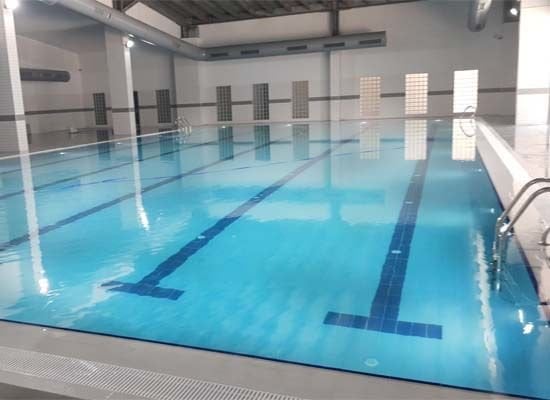 Olimpik Havuz Nedir?
