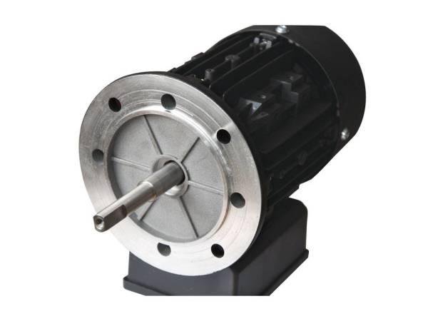 Gemaş Streamer 2010 Havuz Pompası