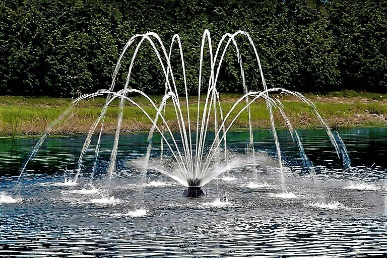 Süs Havuz Fiskiyeleri